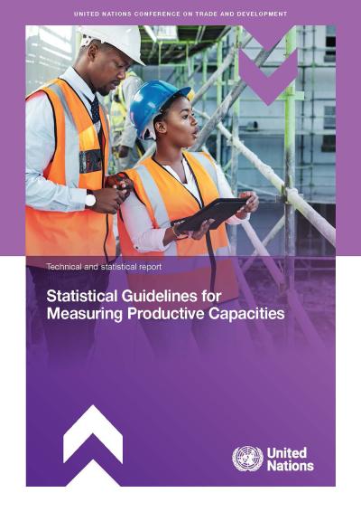 Cover for Statistical guidelines for measuring productive capacities